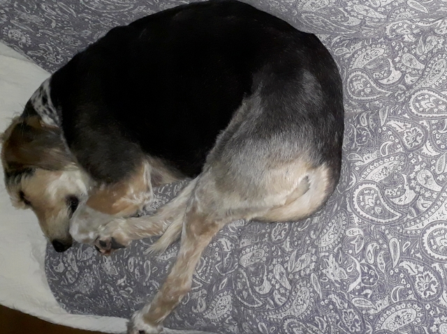 1 20200502 233258 002