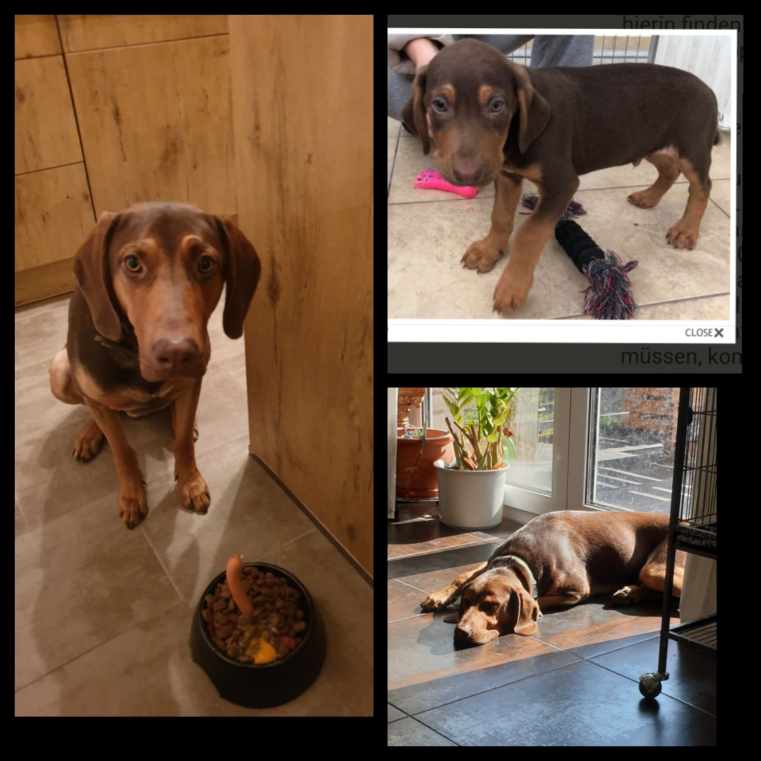 IMG 2020 11 24 16 19 55