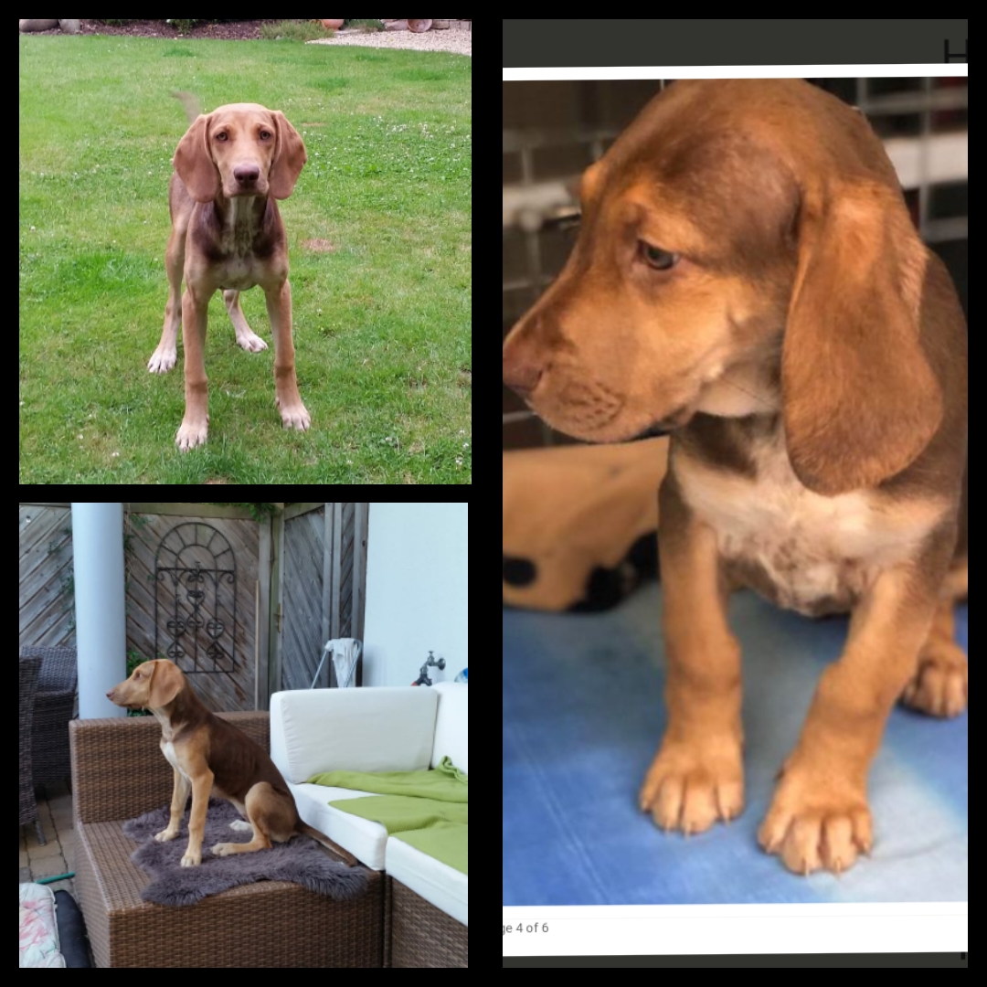 IMG 2020 11 24 16 46 34