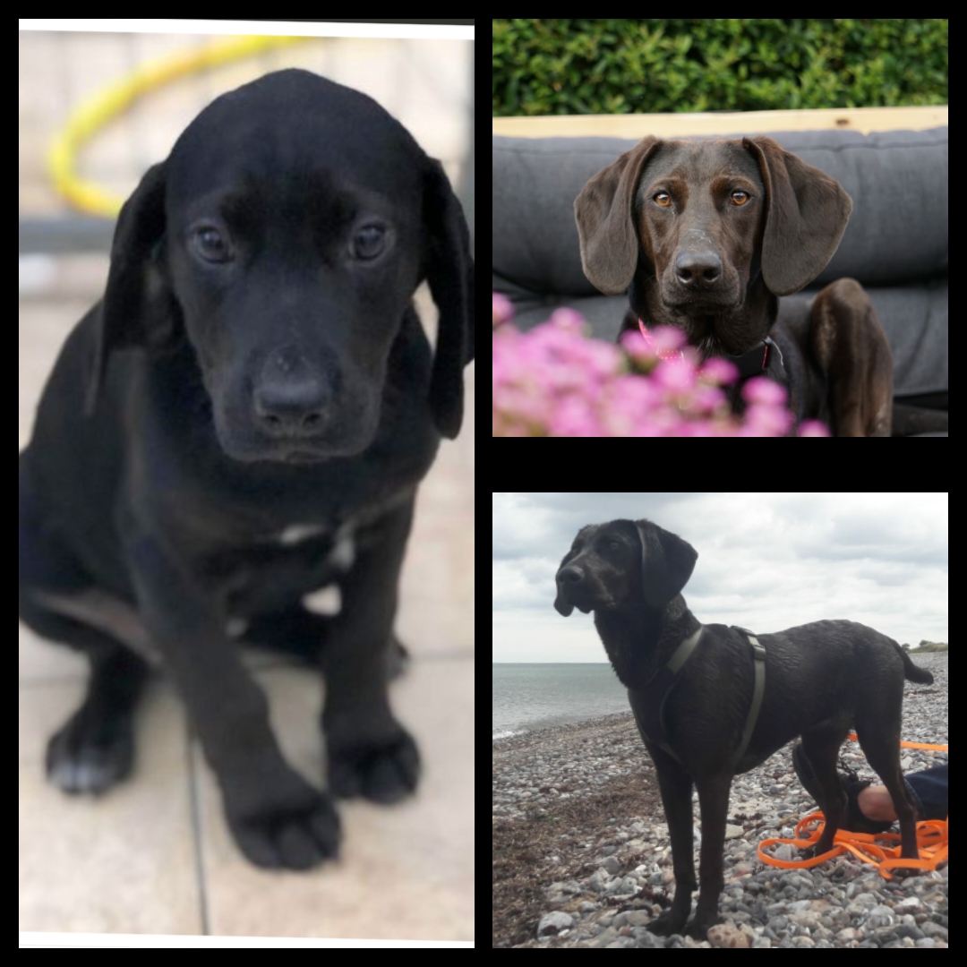 IMG 2020 11 24 21 39 53