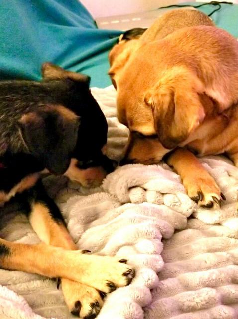 1 646b6f3c d2eb 4031 91bc 3980215c71dc