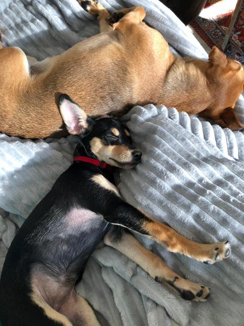 1 66752075 11bb 41a1 bc67 cc820ca87ded