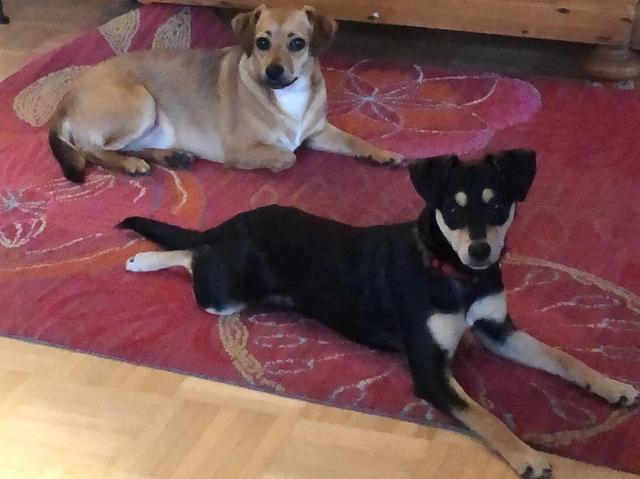 1 a9ec5ec2 83d3 4511 9917 c5378a1b9284