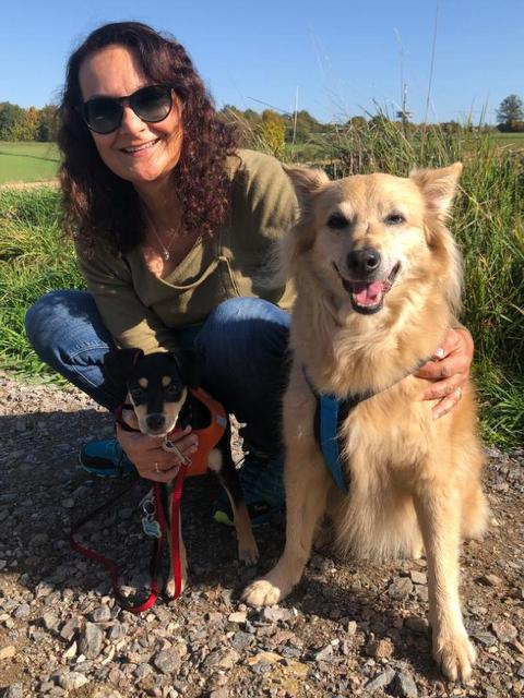 1 cce76930 ca21 4a57 98b5 8f1a64ac208f