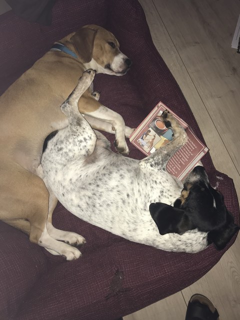 1 cid 16f1a2e50c4fbd460611