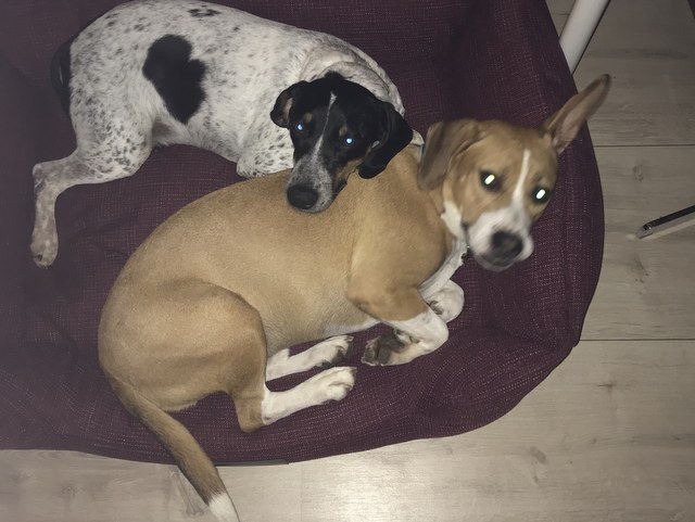 1 cid 16f1a2e998b31adce642