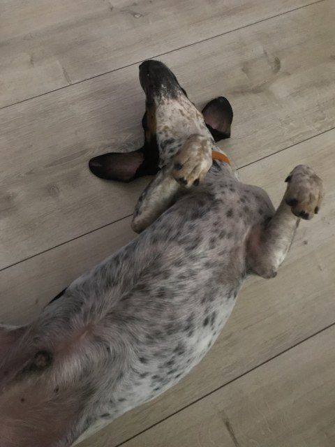 1 cid 16f1a2f2b284a951c663