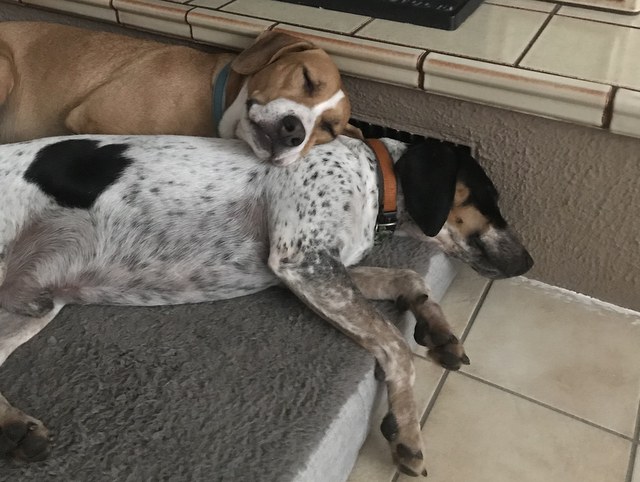 1 cid 16f1a30892dfe1393f35