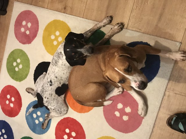 1 cid 16f1a31f9ec2ad6fbef6