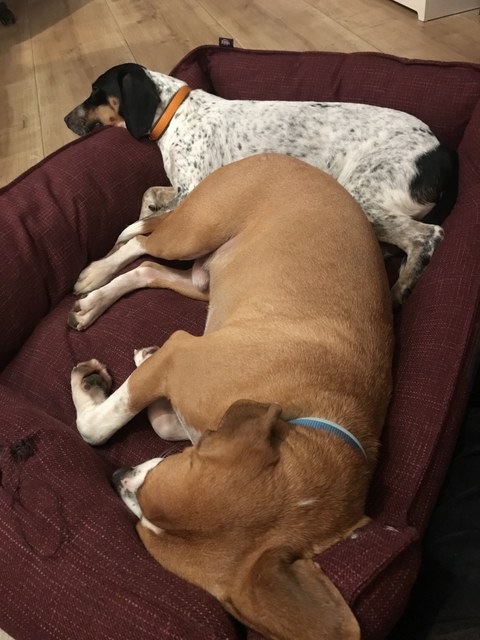 1 cid 16f1abbbd126f4fb5f44