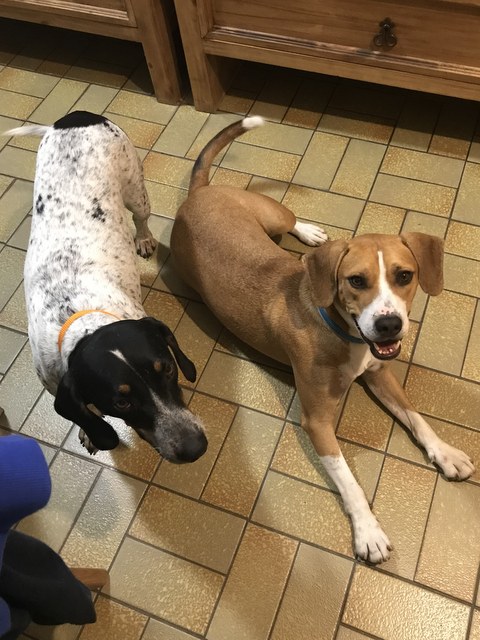 1 cid 16f1abcf4f15a1ffdef6