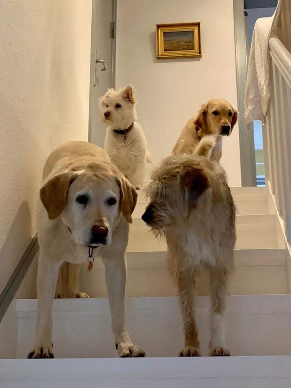 1 IMG 20200306 WA0003