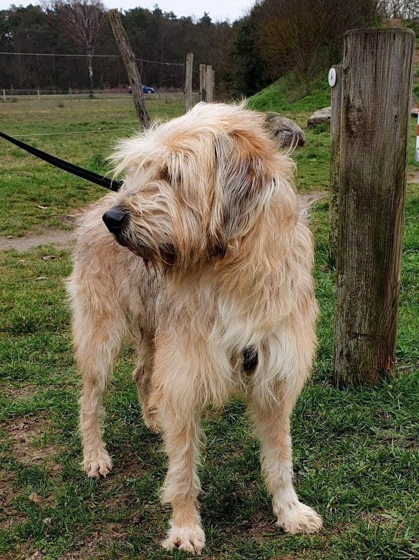 1 IMG 20200209 072506 542