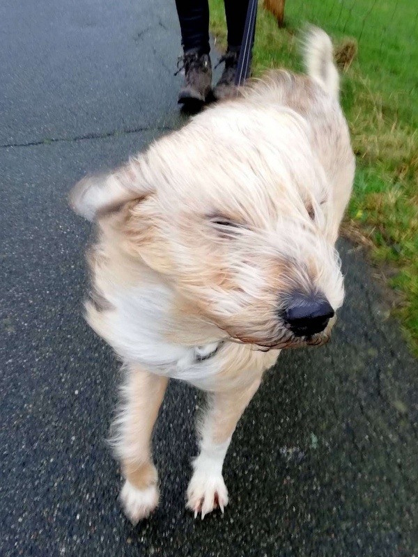 1 IMG 20200211 170302 410