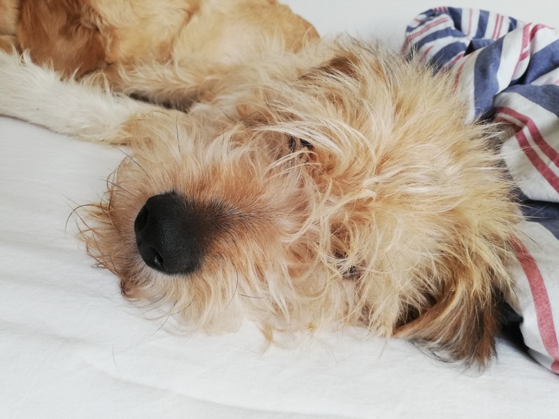 1 IMG 20200316 084409