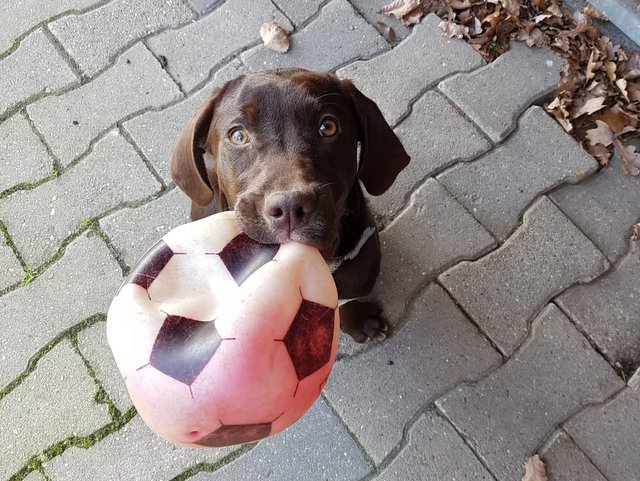 1 IMG 20200217 WA0000