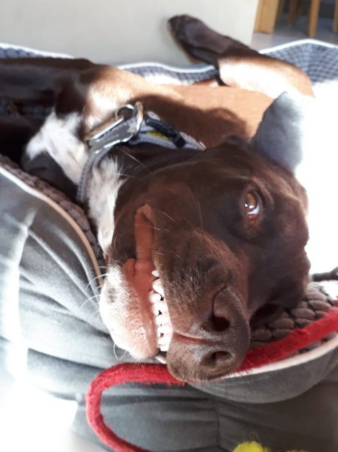 1 IMG 20200326 WA0001