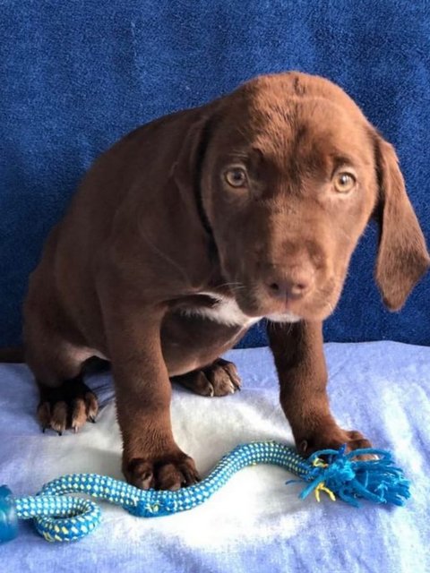 1 IMG 20200608 WA0001