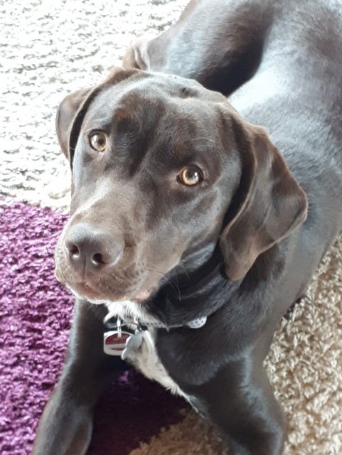 1 IMG 20200608 WA0002