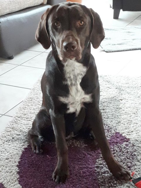 1 IMG 20200608 WA0003