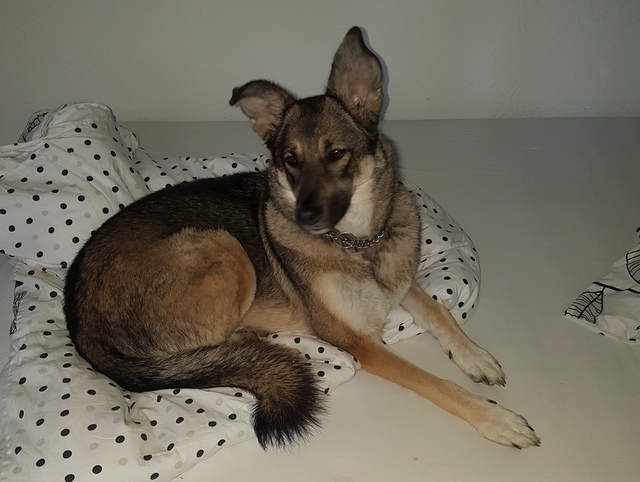 1 cid 59a89f44 9c69 4dd7 91d6 69c8c5a9caa6