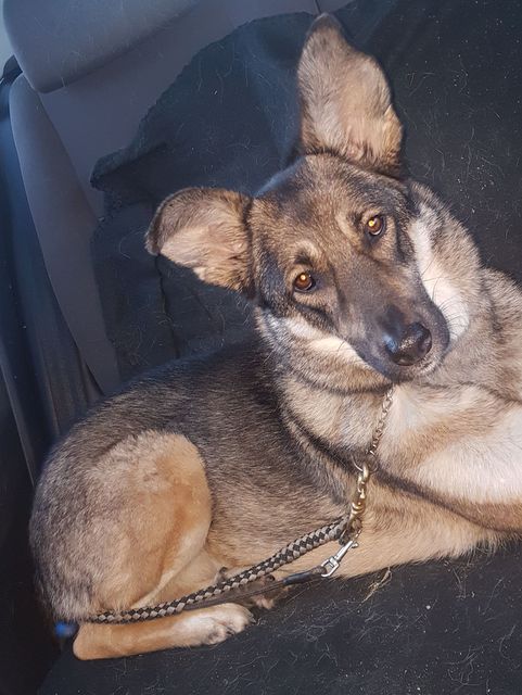 1 cid 5e6e8475 f490 4e24 a38f 14f3254d491a