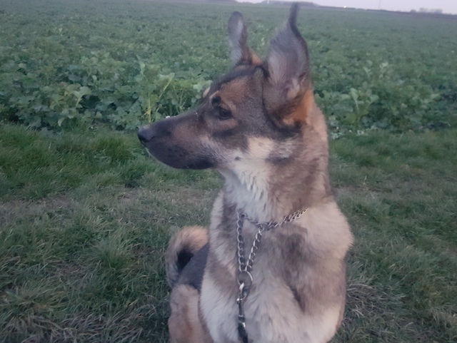 1 cid 7706c428 6d41 4351 b322 9d1445033181