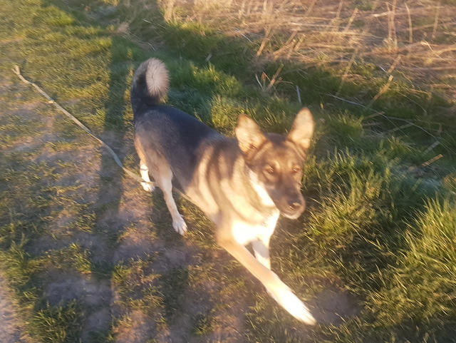 1 cid 7eeeeae1 9f3e 4f74 abf3 5e1b80aa9044