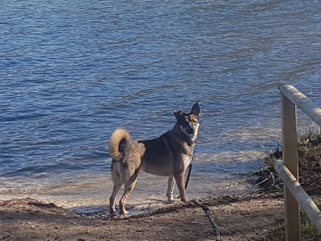 1 cid f881e5e0 0a87 45d3 8861 9b5ffe27369e