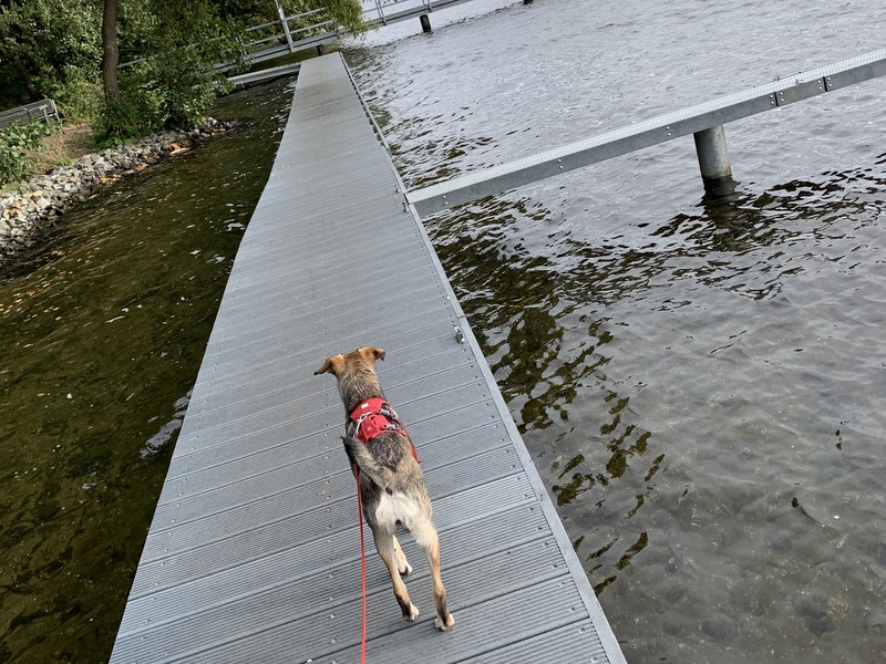 1 24C790BD 3E05 4621 98E6 C9E9BB041D6B 54966 00000AA9C43DBC57