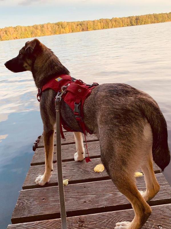 1 da9b0e66 b79c 4f66 ad5b 587f0bfea8fc