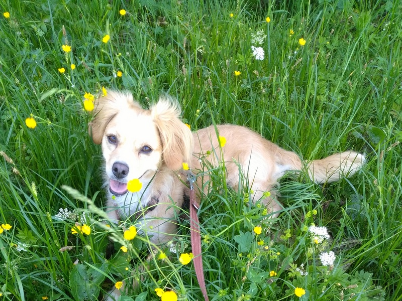 1 IMG 20190628 141419