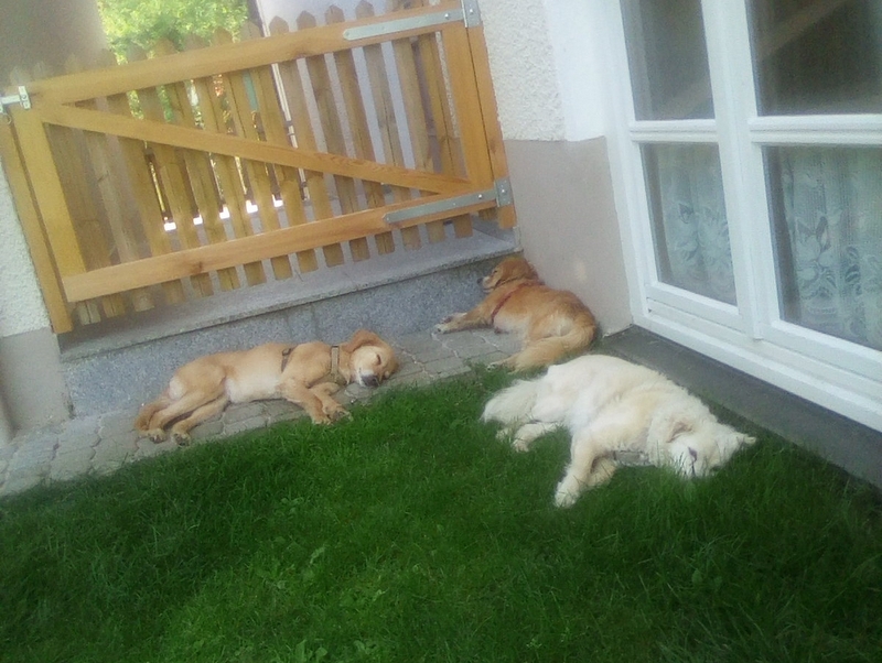 1 IMG 20200801 120019