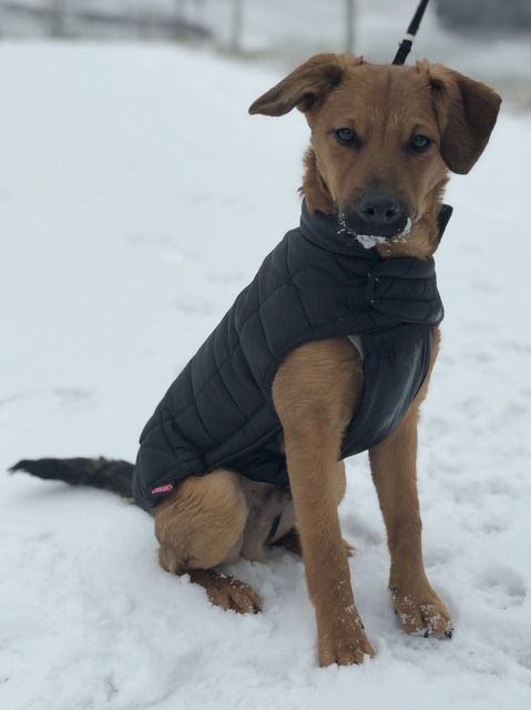 1 01BE2EA7 E276 49A7 8659 DBEA216BB494 22137 00001785778D0EC6 image