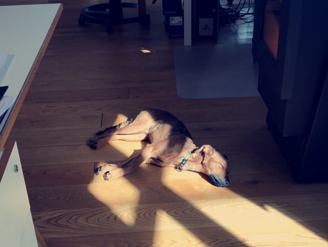 1 3C9BC347 2857 462B B874 154C14F0938E 22137 00001785784B171B image