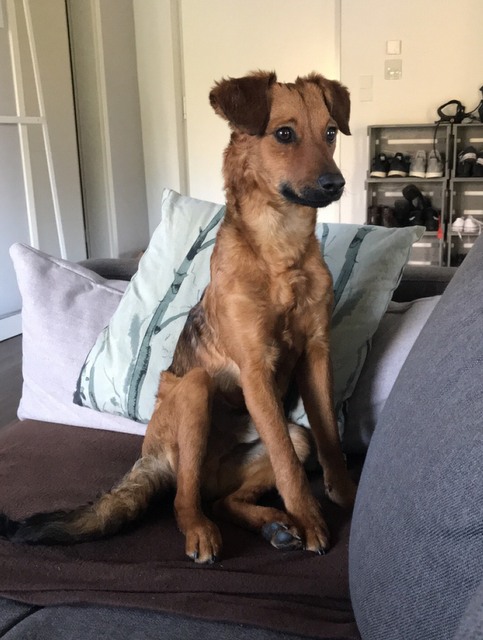 1 49956791 9E6C 4CC2 A21A 23AF1CEEED13 22137 00001785785F09E4 image