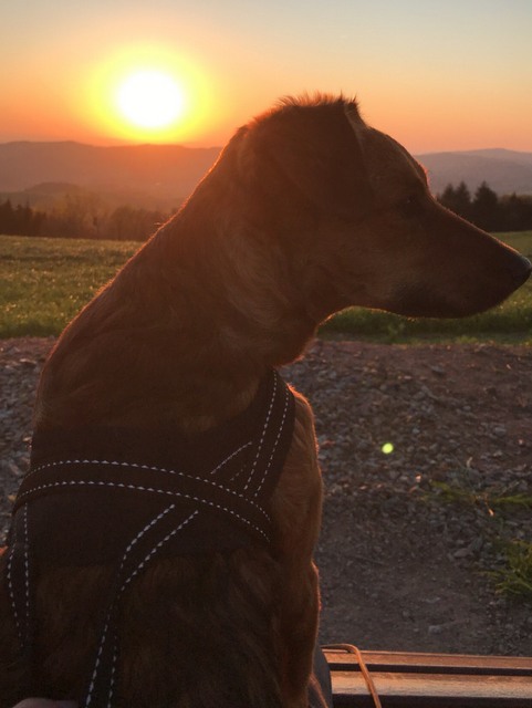 1 7FDF9AC8 13EA 46E8 B4E2 A45D0DE299B7 22137 00001785786BAB25 image