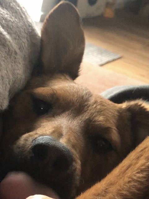 1 87F3150E 0636 4E11 8D68 081AFDE3E20D 22137 000017857840D8C2 image