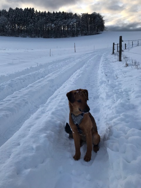 1 B996E219 721C 42F5 8CEA 230B6480CDE3 22137 0000178577C012D5 image