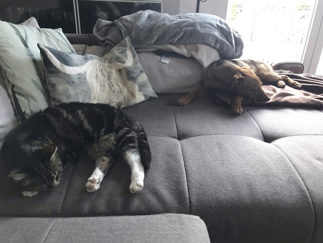 1 E95028EB 1C1E 462C 8DA4 4DE4833C2094 22137 00001785780B0681 image