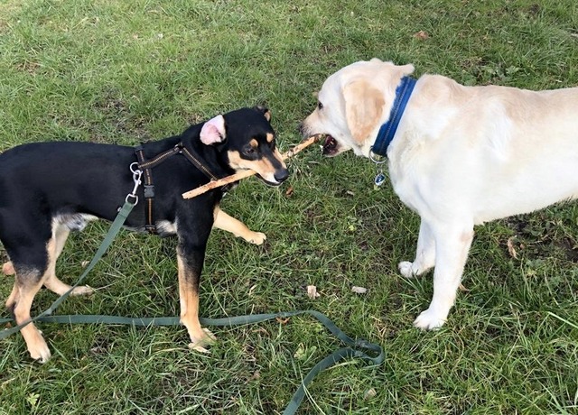 1 cid 0ED38C2D 0FF6 497F A66C 61F936C61766fritz