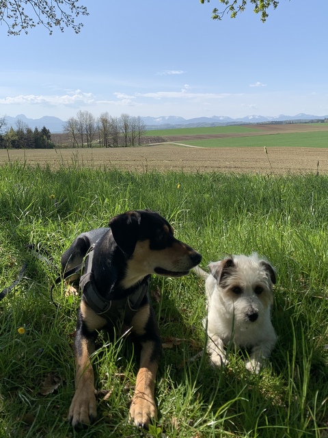 1 cid 36FE2CD2 3859 4052 B328 CB570A98366Dfritz