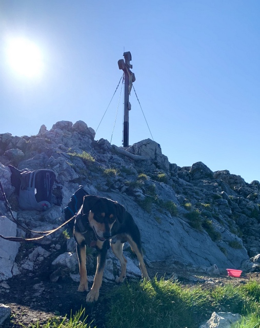 1 cid 3B416419 DA1A 4558 AD67 EC873C663D9Ffritz