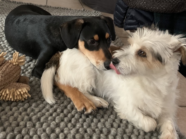 1 cid 4B7A1E6A B9DE 4372 82C9 039FAD1E7527fritz