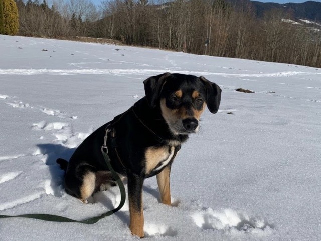 1 cid 6928EF12 4280 412A A10B B7006F124506fritz