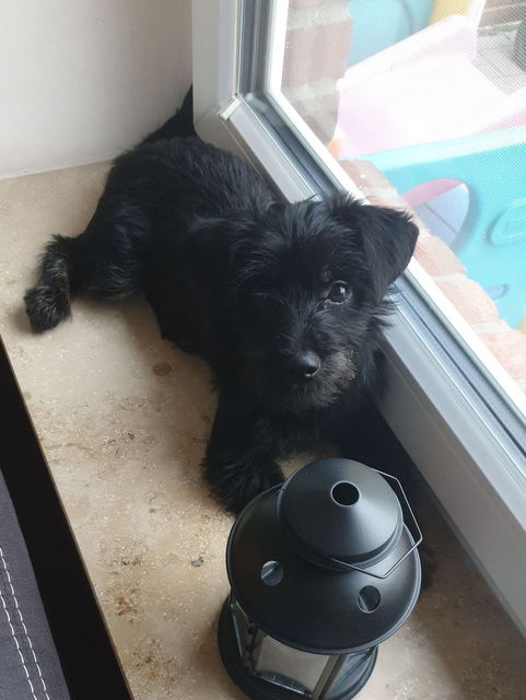 1 IMG 20200102 WA0020