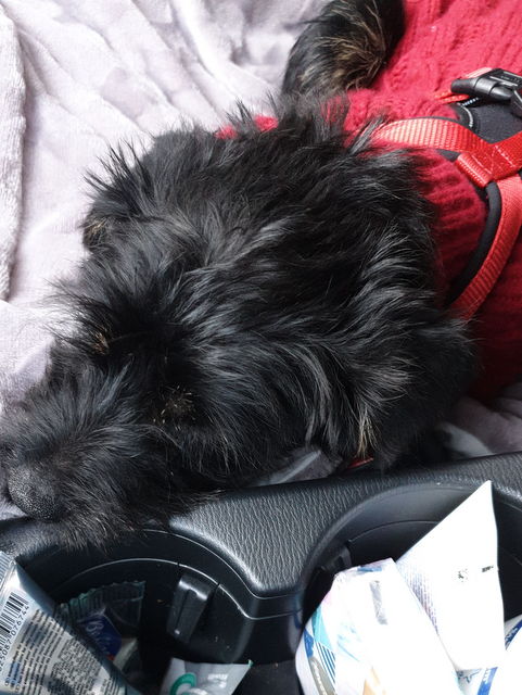 1 IMG 20200106 WA0046