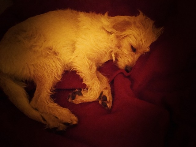 1 cid AEBFD741 CB71 4576 9F46 8BC6F8493E71speedport