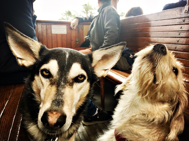 1 cid B5C44B7F AF42 4721 A564 96B2027A39CCspeedport