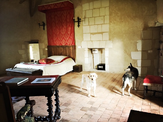 1 cid BA55BF38 6794 4B29 AF23 C934F06CC635speedport